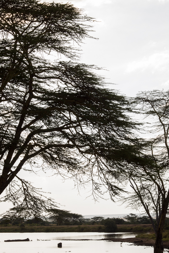 laikipia